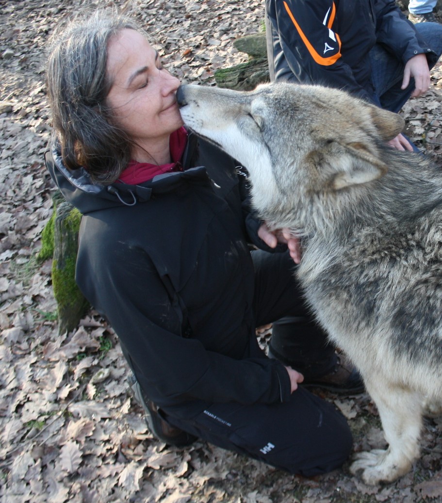 Hier zu sehen, wie Christine von einem Wolf begrüsst wurde, als sie das Wolfsforschungszentrum in Wien besucht hat.